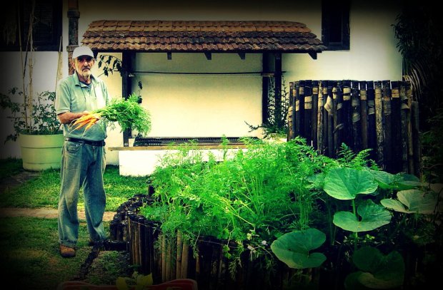 our carrots from the African Keyhole