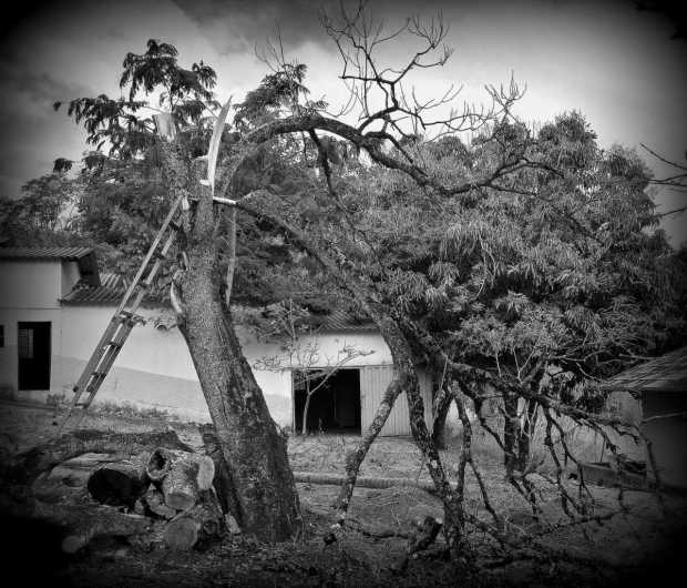 we started with this one so we could have space for our electricity pole