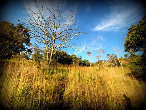Looking Uphill from Our Valley
