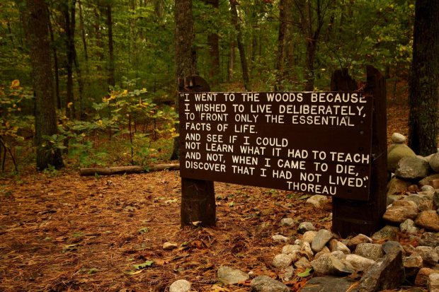 Thoreau: Learning the essentials of life in the woods