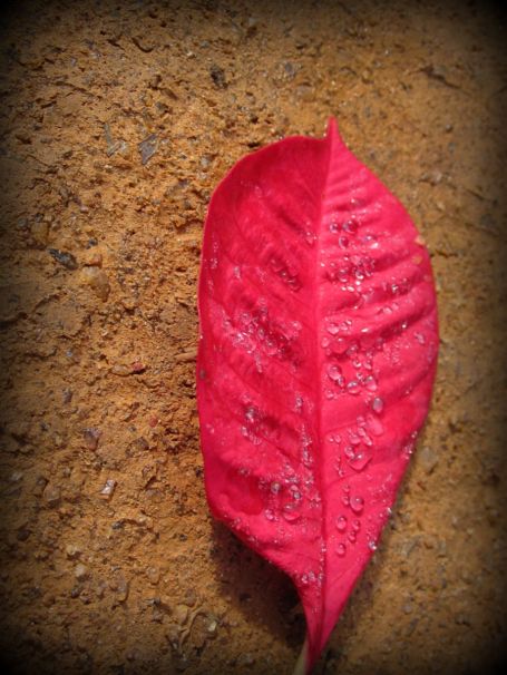 Our winters here are dry and a little cooler, usually in the mornings and at night. Shorts & T-Shirts are still the status quo.