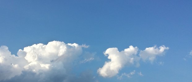 These clouds brought us 6mm of rain. Slowly but surely we are getting more rain clouds but for now they still mostly just show up and leave before they even give a drop of rain. 