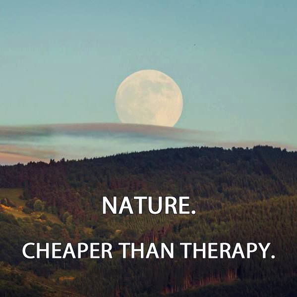 Unknown: "Nature. Cheaper than therapy."