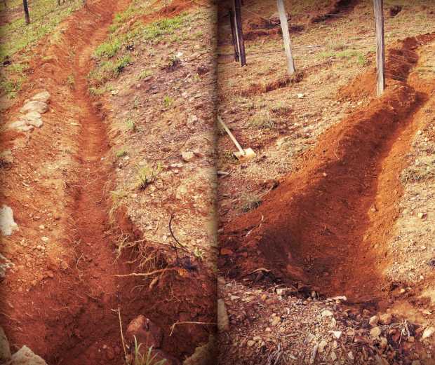 We had our first heavy rains and experienced the full force of water coming down the hill. Now we started to make some trenches to divert some of the water and worked quit well with the last 55mm rain.