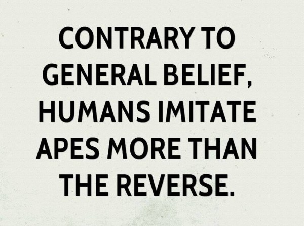 Frans de Waal: "Contrary to general belief, humans imitate apes more than the reverse."